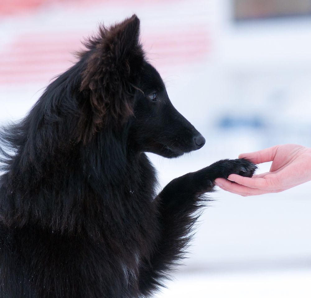 The Definition of Success